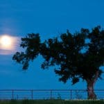 Moonrise over the Flint Hills