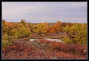 Fall's Palette