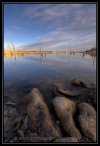 Wandering the Shoreline