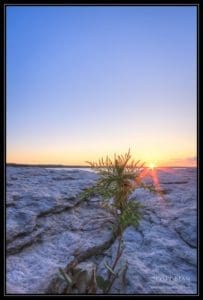 A Solitary Sunset