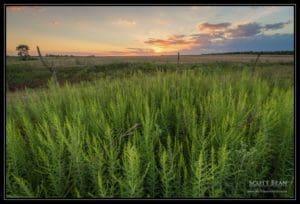 Roadside Roadside