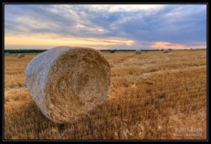 Baled