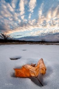 Leaf and clouds at sunrise