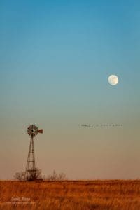 The nearly full moon rising alongside a windmill in northeast Kansas.