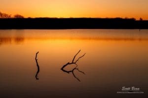 I arrived at the lake about 15 min before sunrise (yes before sunrise!) and had some time to scout the area I selected to photograph from. There wasn’t much along the shoreline that was really grabbing my attention, but there were a couple of branches not far from shore that had some very interesting shapes. Luckily it was a calm morning so the reflections of the branches showed up nicely. I made the photo above deciding to isolate just the branches in the water with the color of the pre-dawn sky reflecting in the water. I selected a relatively high f-stop to give me a slower shutter speed to smooth out the bit of ripples that were on the water.