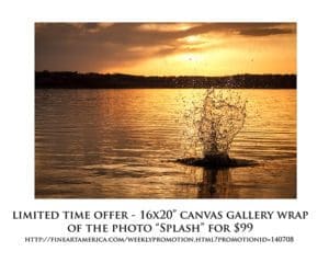 April Print of the Month