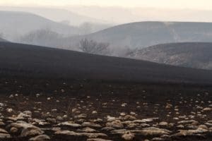 After the burn - Wabaunsee County