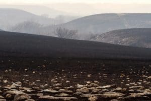 The Flint Hills after a controlled burn