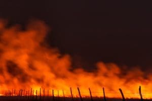 Burning Along The Fence - A Night Burn in the Flint Hills
