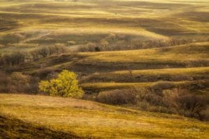 Early Spring in the Flint Hills
