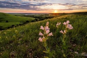 A Spring Sunset in the Flint Hills