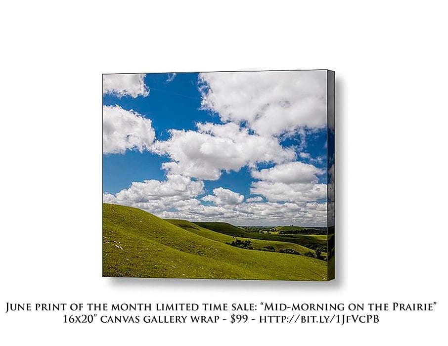 June Print of the Month