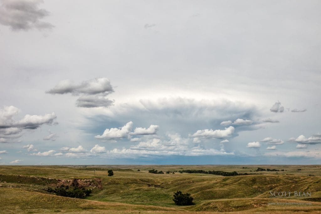 Storm Clouds over Big Basin