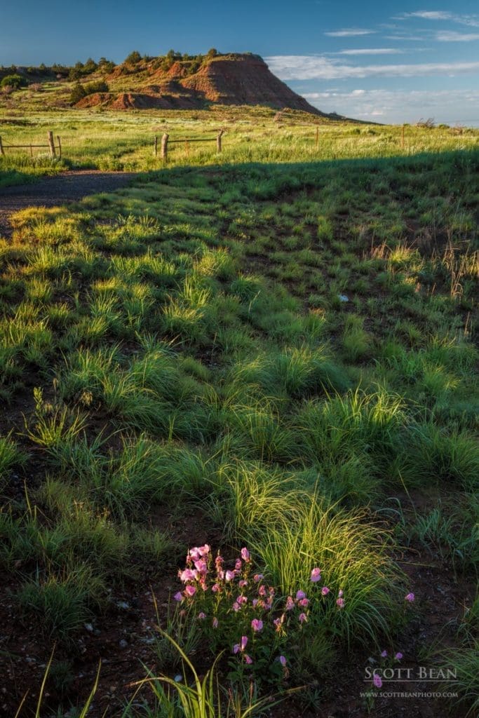 Spring in the Gyp Hills