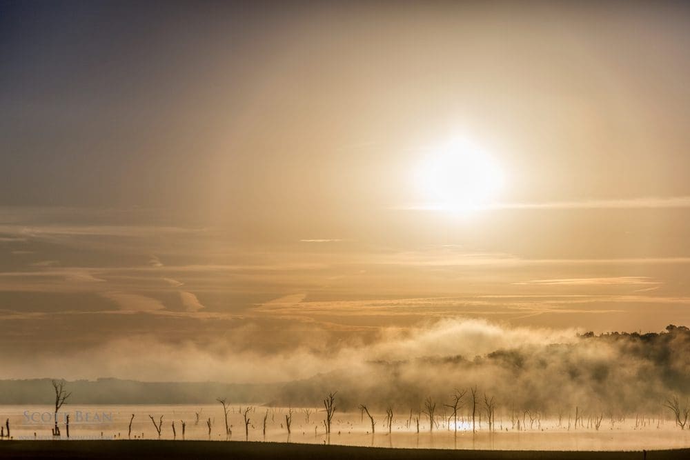 Foggy Morning