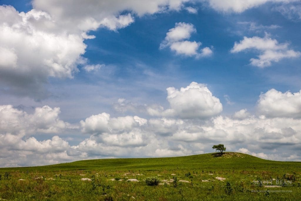 Afternoon on the Prairie