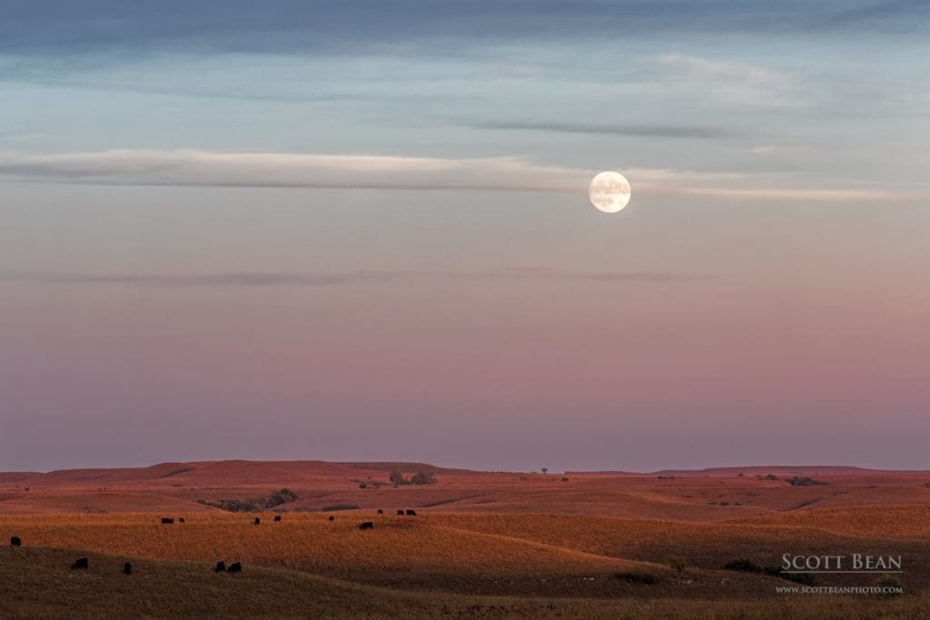 Fall Moonrise over the Prairie