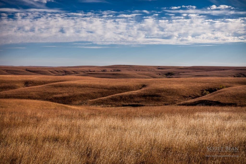 Fall Afternoon on the Prairie