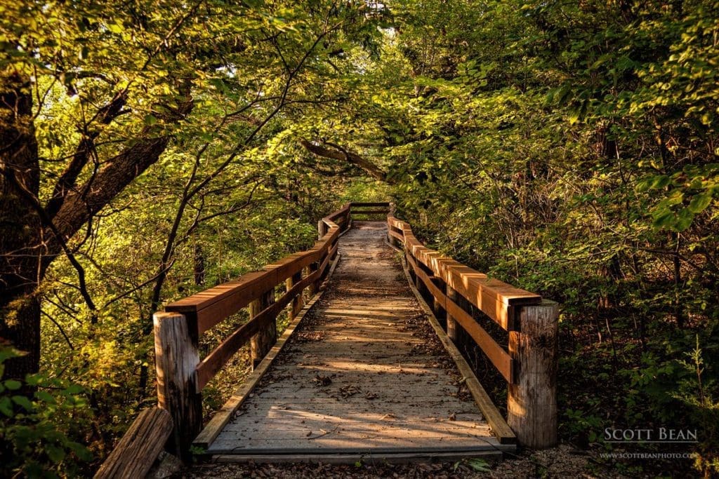 Cedar Ridge Trail