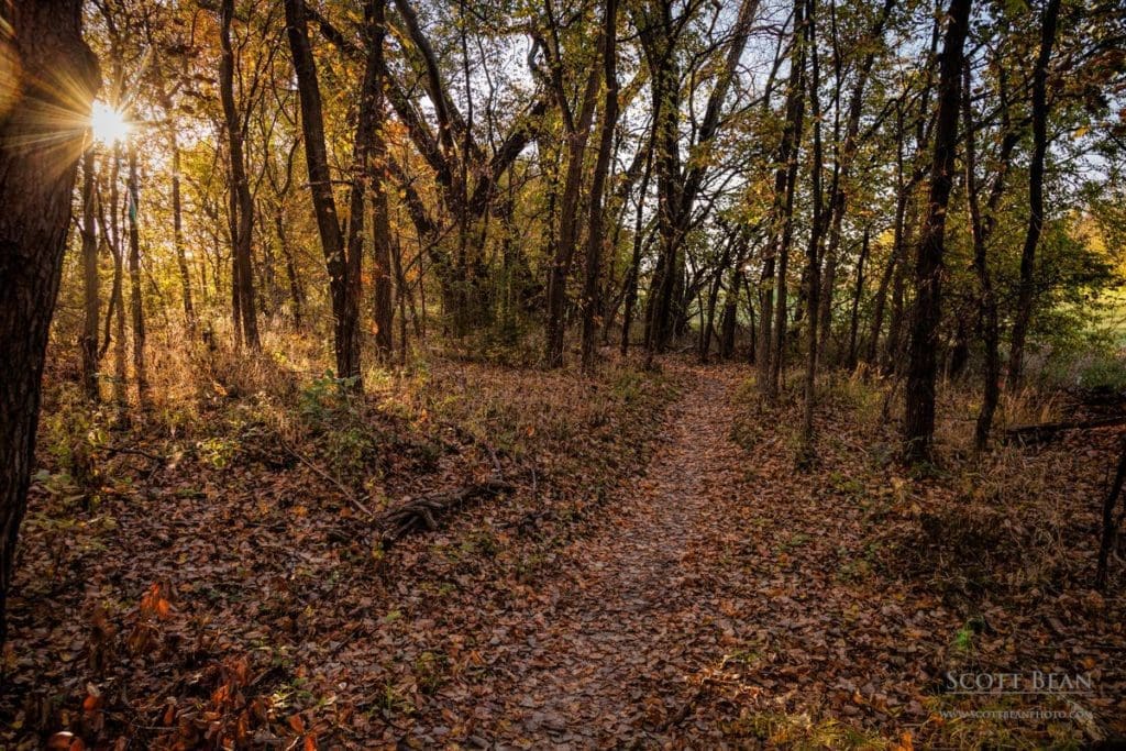 Morning - River Trail