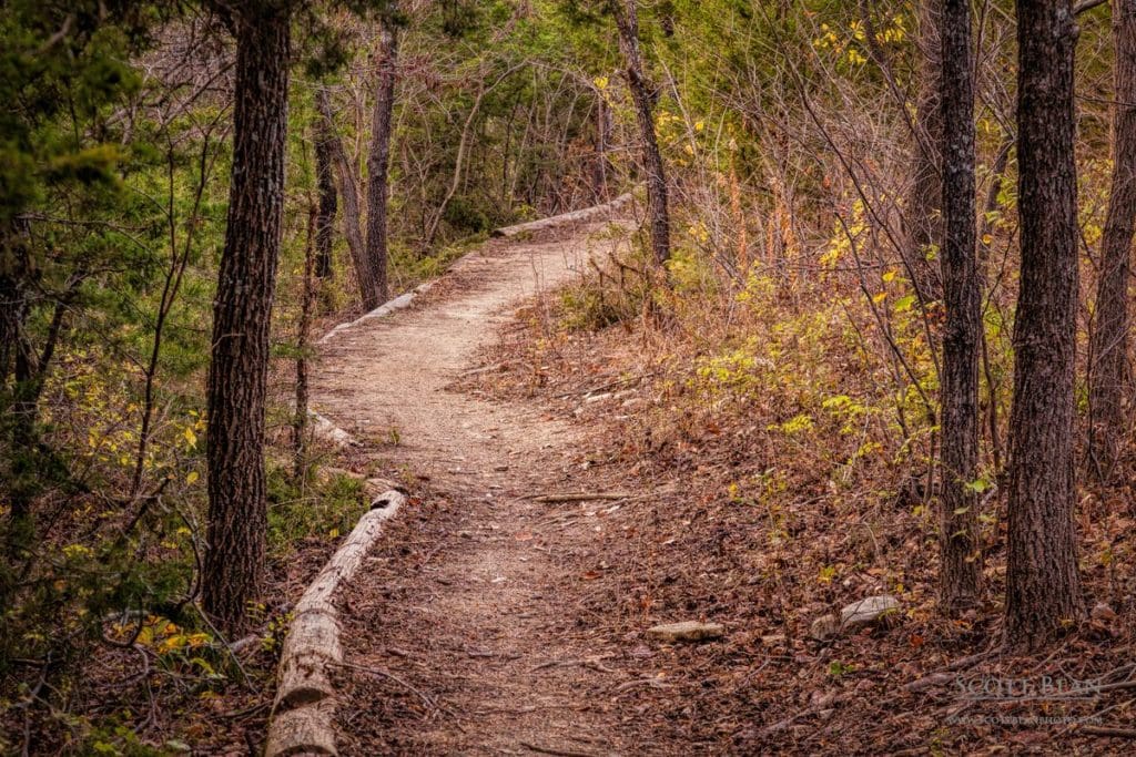 Path - Cedar Ridge Trail