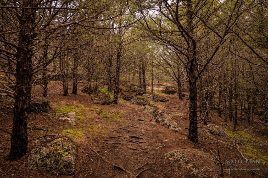 Fancy Creek Trail