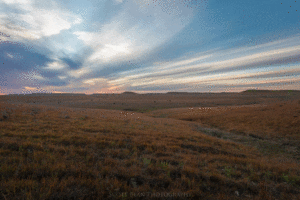 Sunset in the Flint Hills