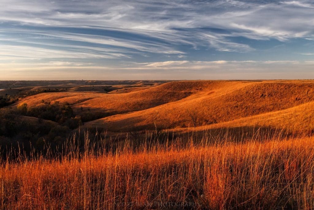 Fall colors of the prairie