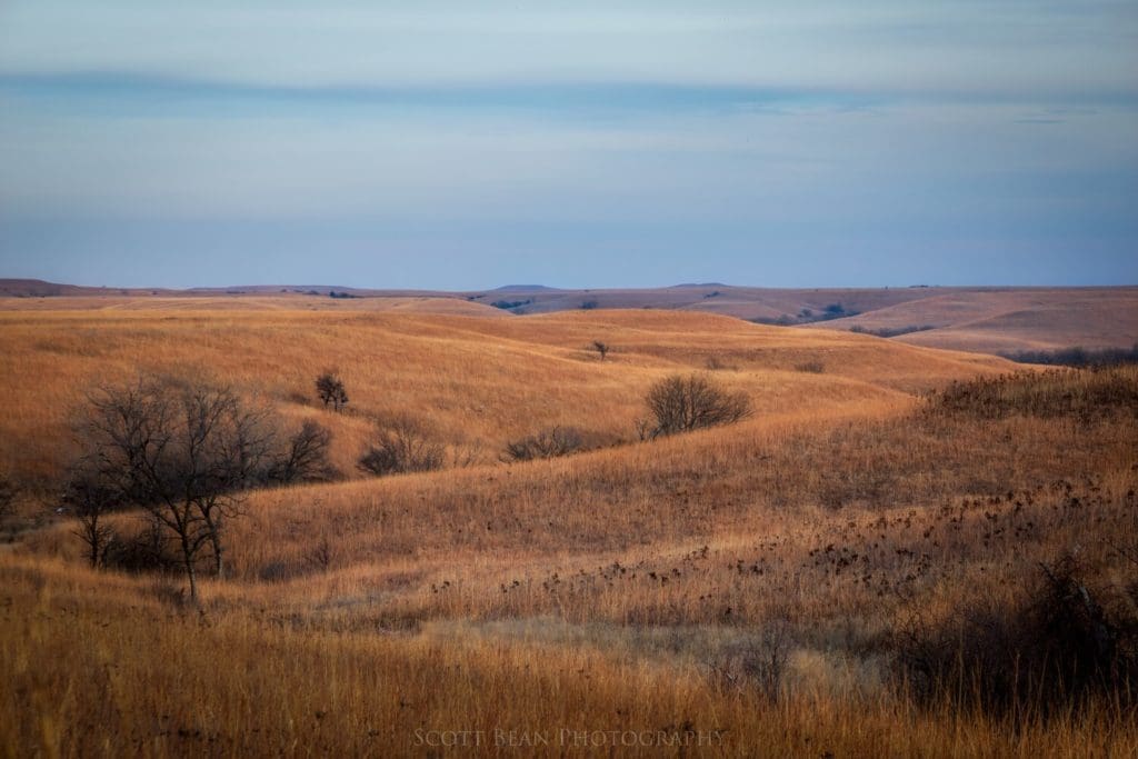 The winter prairie
