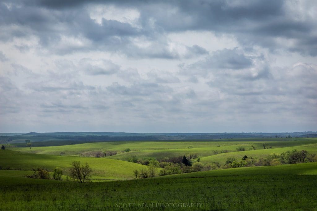 Spring in the Flint Hills