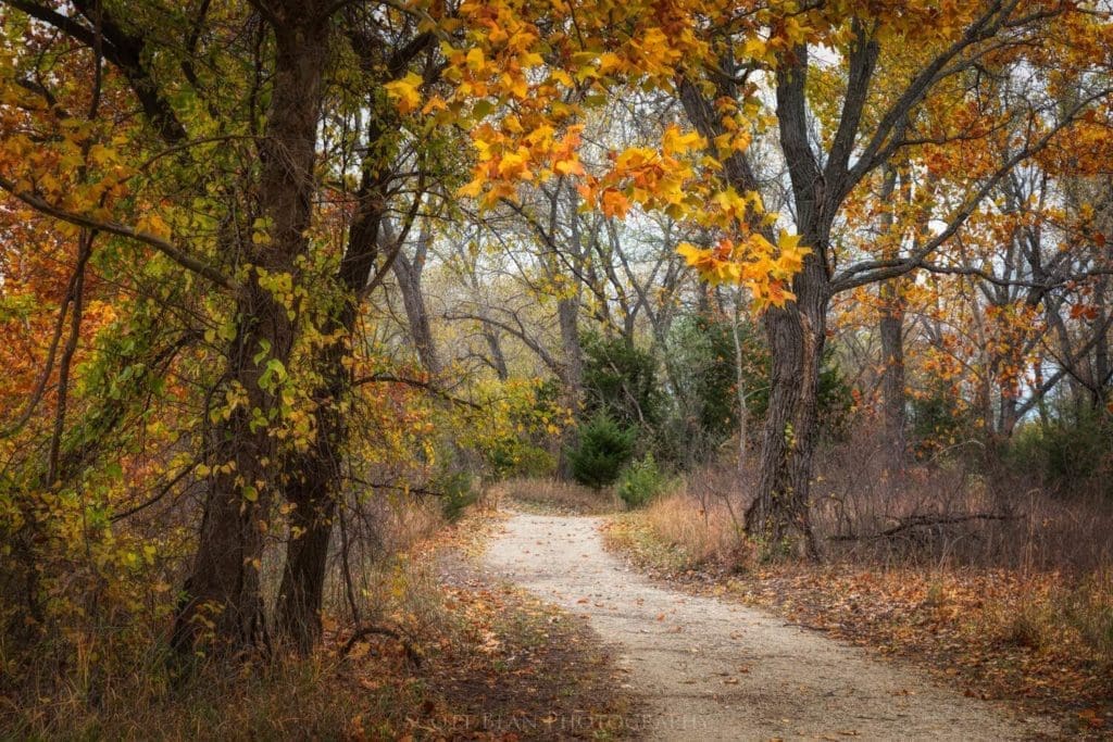 Walking Trail and Fall Colors