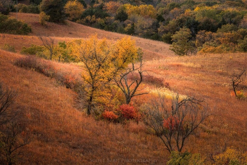 Fall Colors in the Flint Hills