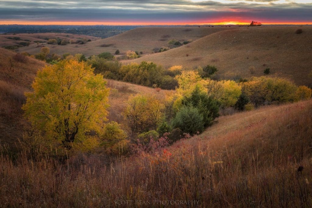 Fall Colors in the Flint Hills