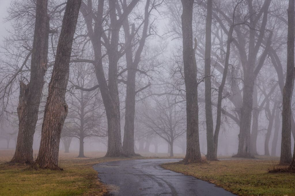 A park road on a foggy morning