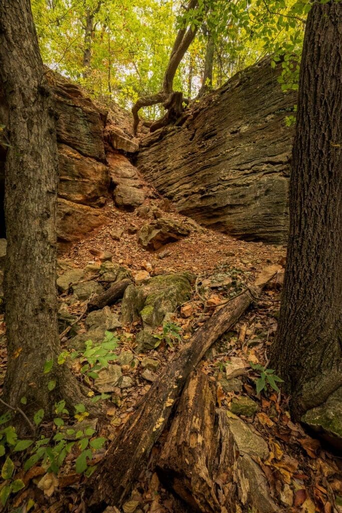Rock formations in the Ozark Plateau region of Kansas.